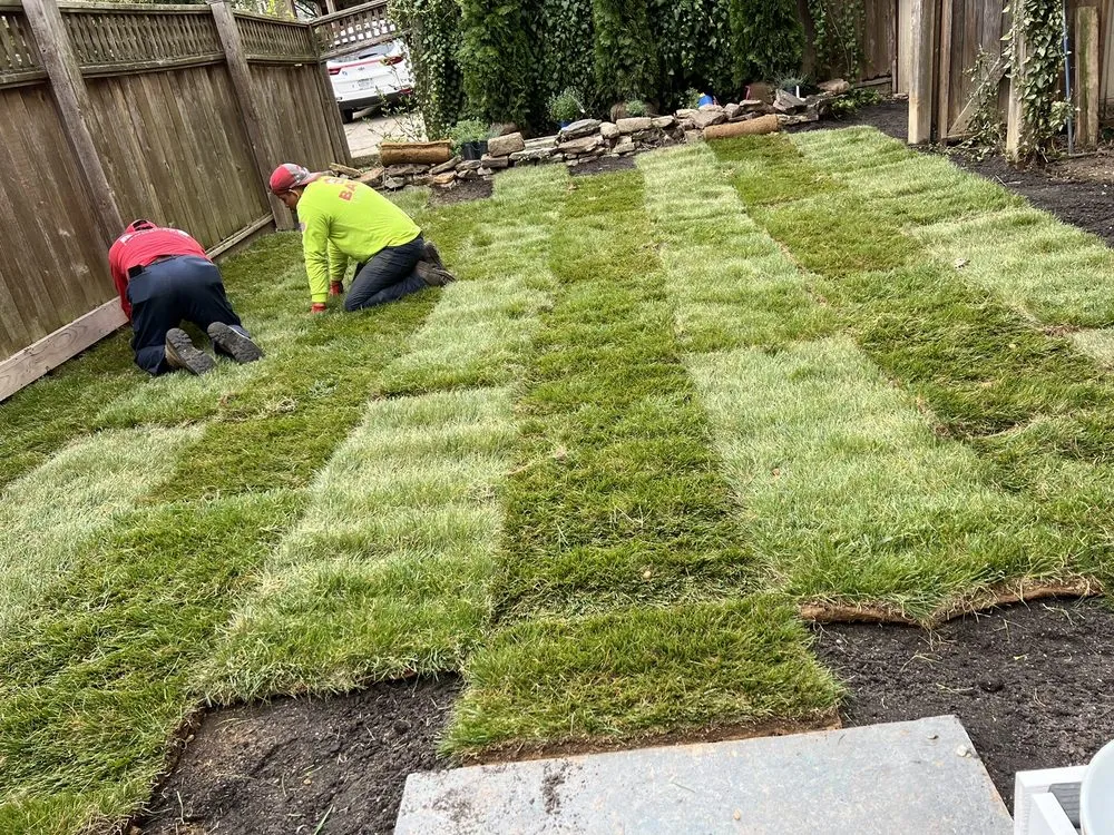 Expert residential landscaping for beautiful yards across West Chester, PA - Bates Landscaping