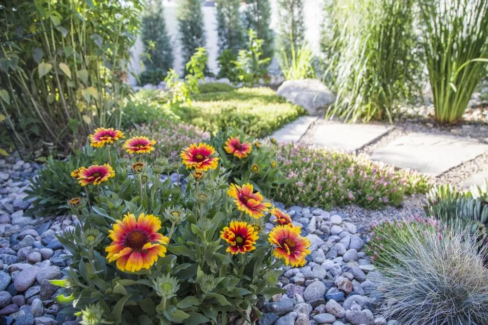 Affordable yard maintenance experts serving Fort Collins, CO - Bath Landscape & Irrigation