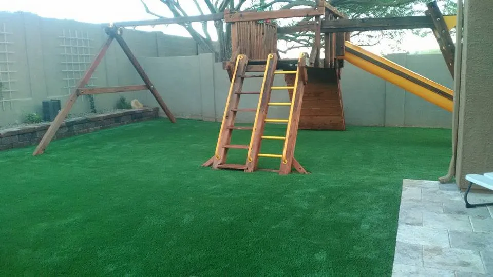 Top-rated landscape design for homes across Mesa, AZ - Batista Eco Green