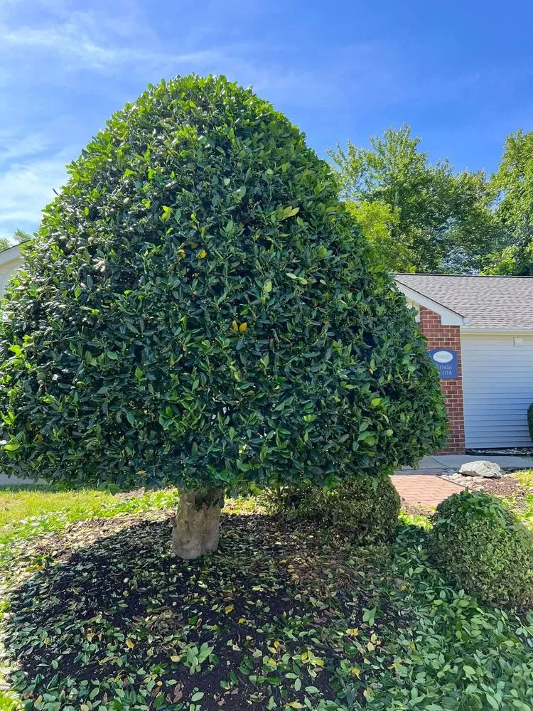 Reliable outdoor landscaping in Newport News, VA - Batista Lawnkeeping