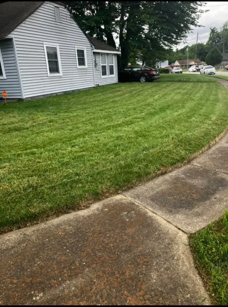 Reliable yard cleanup service in Newport News, VA by Batista Lawnkeeping