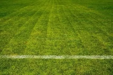 Professional yard maintenance for year-round maintenance in Newport News, VA by Batista Lawnkeeping