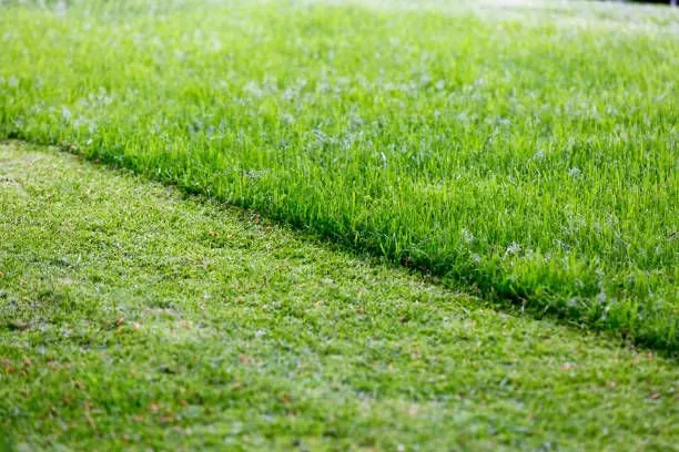 Local lawn care service for homes in Newport News, VA by Batista Lawnkeeping