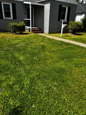 Batista Lawnkeeping Logo