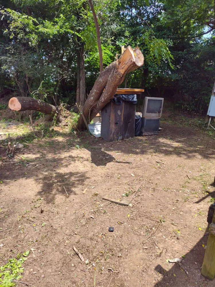 Local landscape design experts serving Nacogdoches, TX - Batista Solution