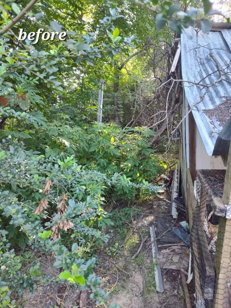 Local yard maintenance experts serving Nacogdoches, TX - Batista Solution