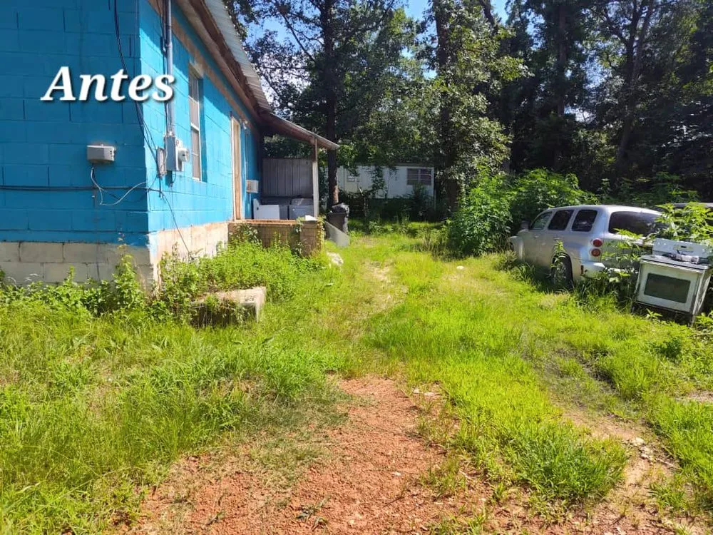 Local yard cleanup service experts serving Nacogdoches, TX - Batista Solution