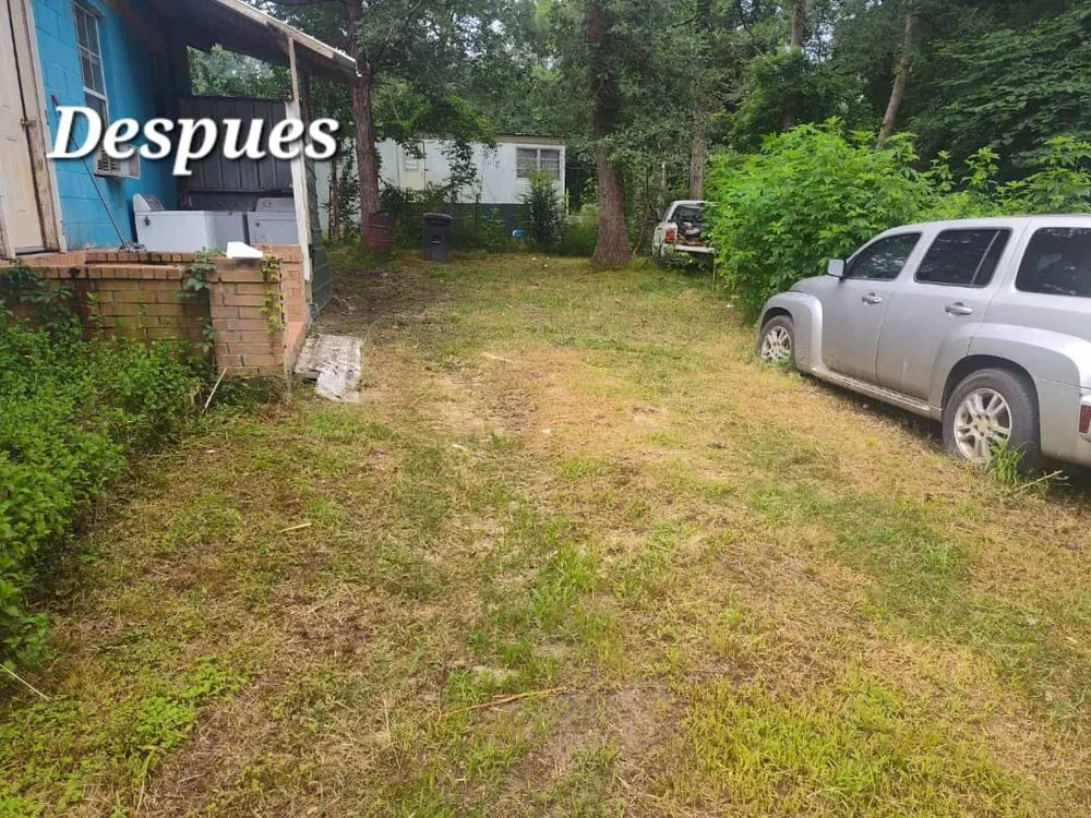 Professional residential landscaping in Nacogdoches, TX - Batista Solution