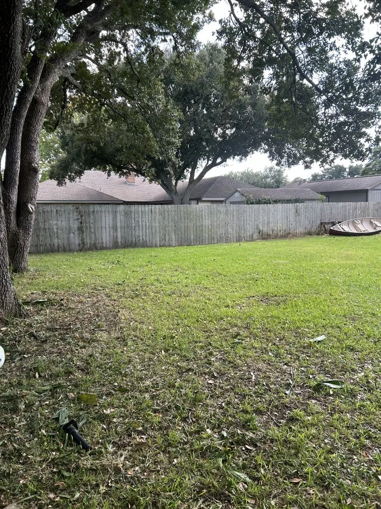 Trusted landscaping services for year-round maintenance in Lafayette, LA by Batiste Cuts And Landscaping