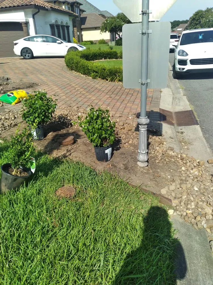 Expert yard maintenance experts serving Lafayette, LA - Batiste Cuts And Landscaping