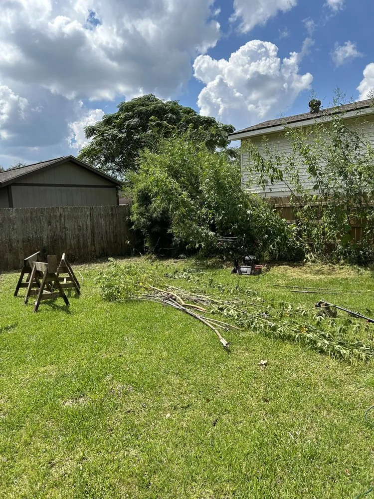 Reliable landscape installation in Lafayette, LA by Batiste Cuts And Landscaping