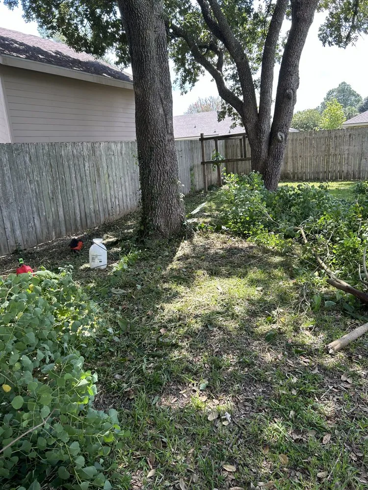 Custom landscaping services in Lafayette, LA by Batiste Cuts And Landscaping