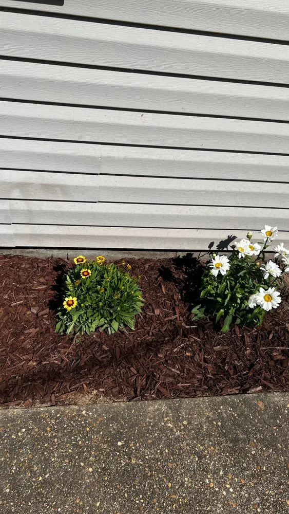 Reliable landscape design for outdoor upgrades across Panama City, FL - Batiste Lawn Services