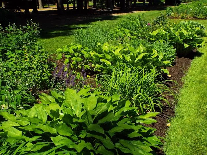 Affordable outdoor landscaping with custom design in Baton Rouge, LA by Baton Rouge Landscaping