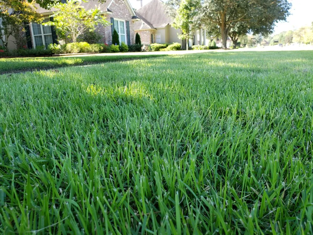 Custom garden landscaping in Baton Rouge, LA - Baton Rouge Sod