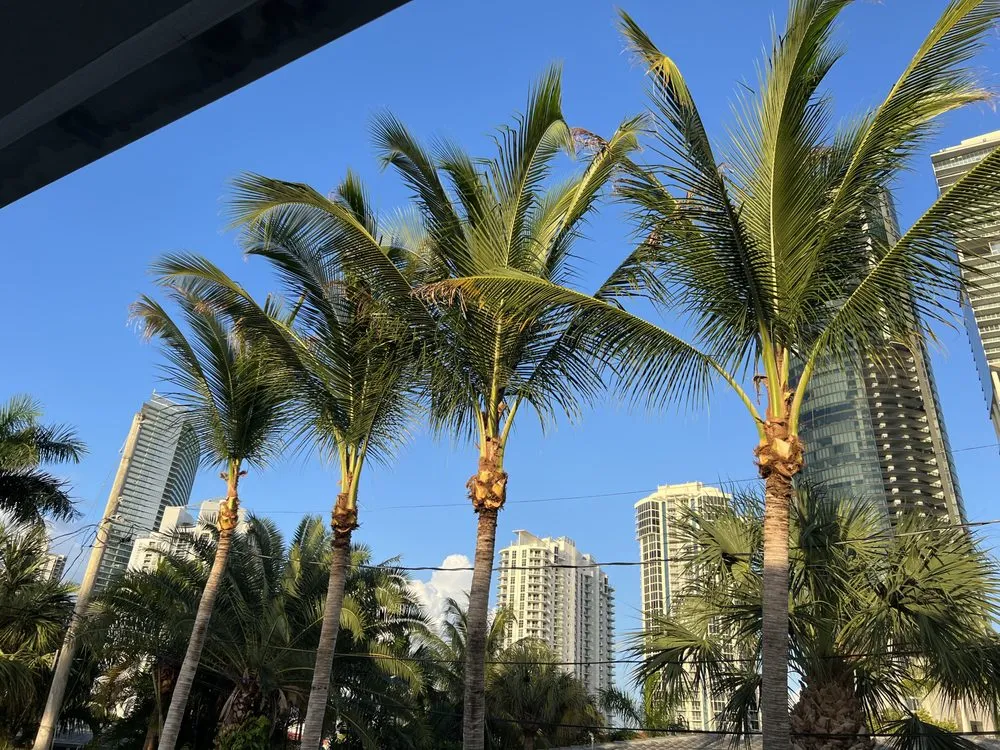 Top-rated lawn mowing service experts serving Kendall, FL - Batres Landscaping