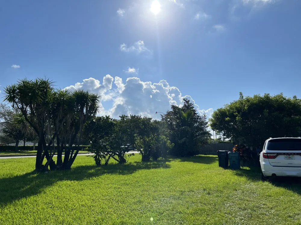 Local yard cleanup service experts serving Kendall, FL - Batres Landscaping