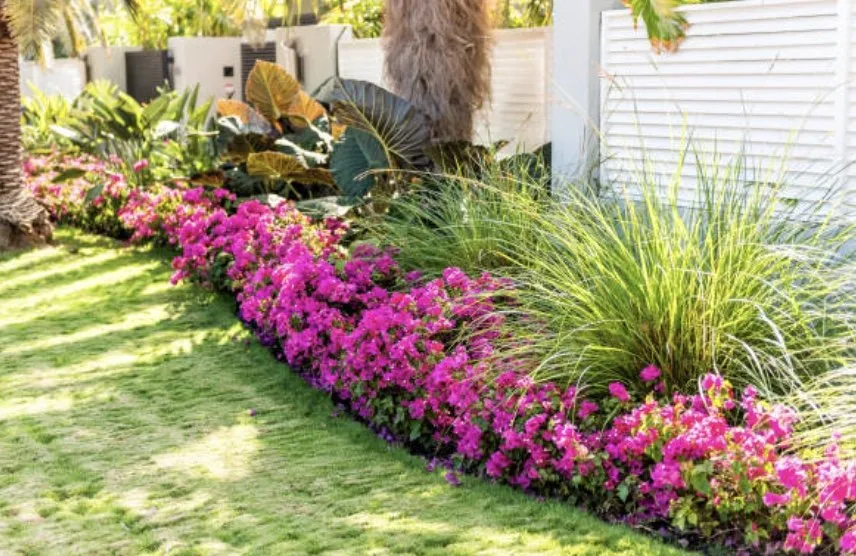 Trusted lawn care service for year-round maintenance across Kendall, FL - Batres Landscaping