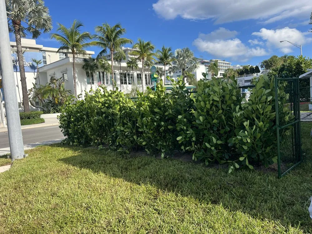 Custom landscape design in Kendall, FL - Batres Landscaping