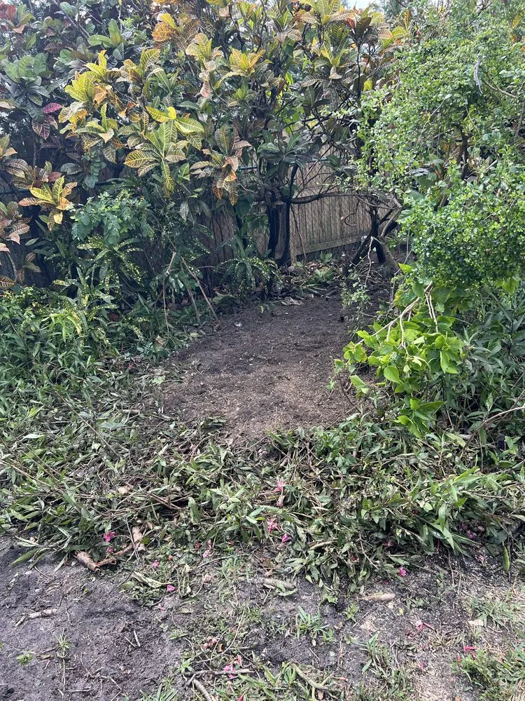 Professional landscape installation with custom design across Kendall, FL - Batres Landscaping