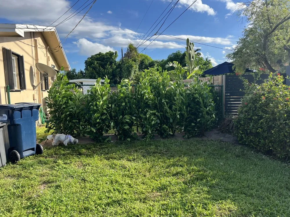 Local landscape design in Kendall, FL - Batres Landscaping