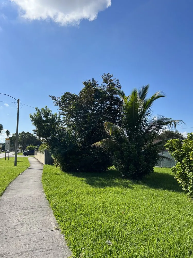 Local landscape design experts serving Kendall, FL - Batres Landscaping