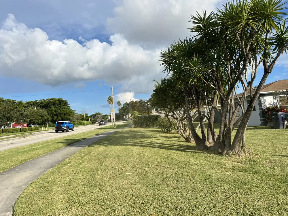 Local landscape installation for homes across Kendall, FL - Batres Landscaping