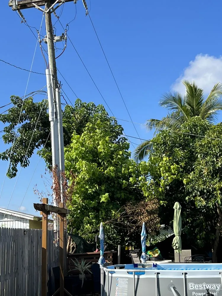 Affordable outdoor landscaping for year-round maintenance in Kendall, FL by Batres Landscaping