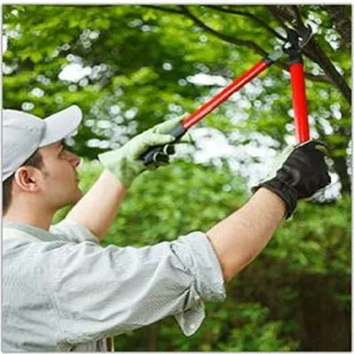 Battaglia & Son Lawn & Landscaping Logo