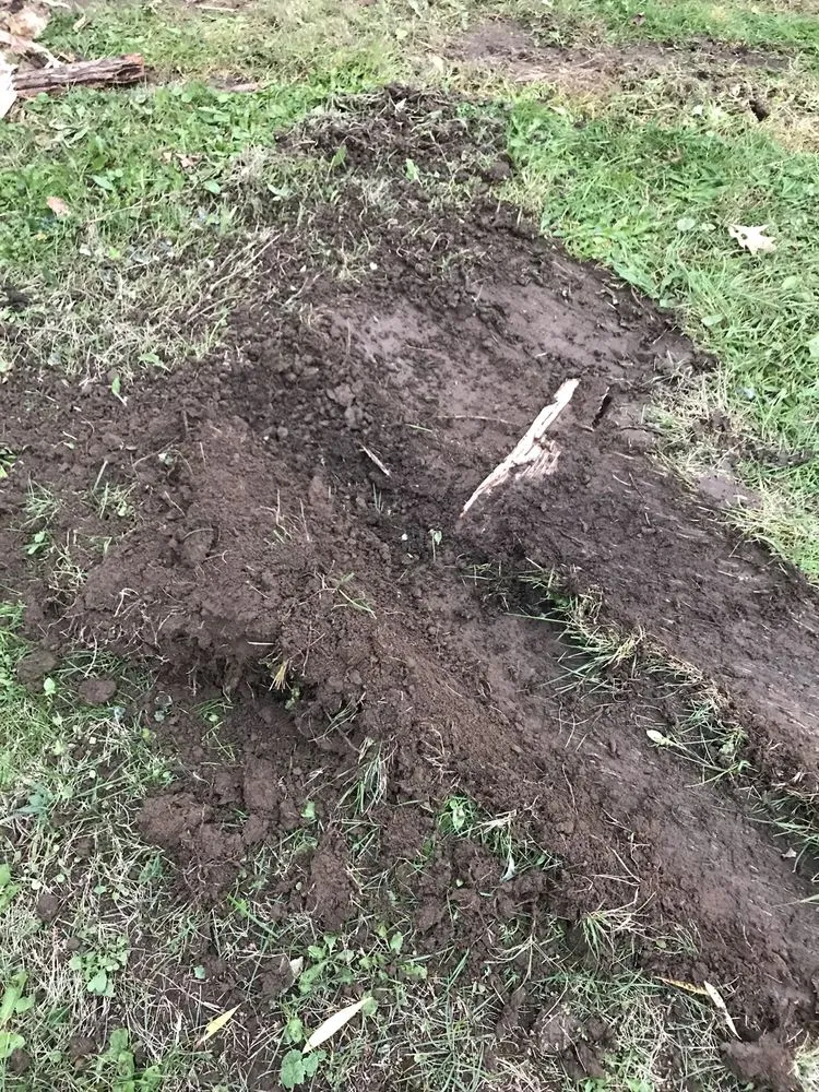 Trusted yard cleanup service experts serving Hewitt, NJ - Battinelli Farms & Garden Center