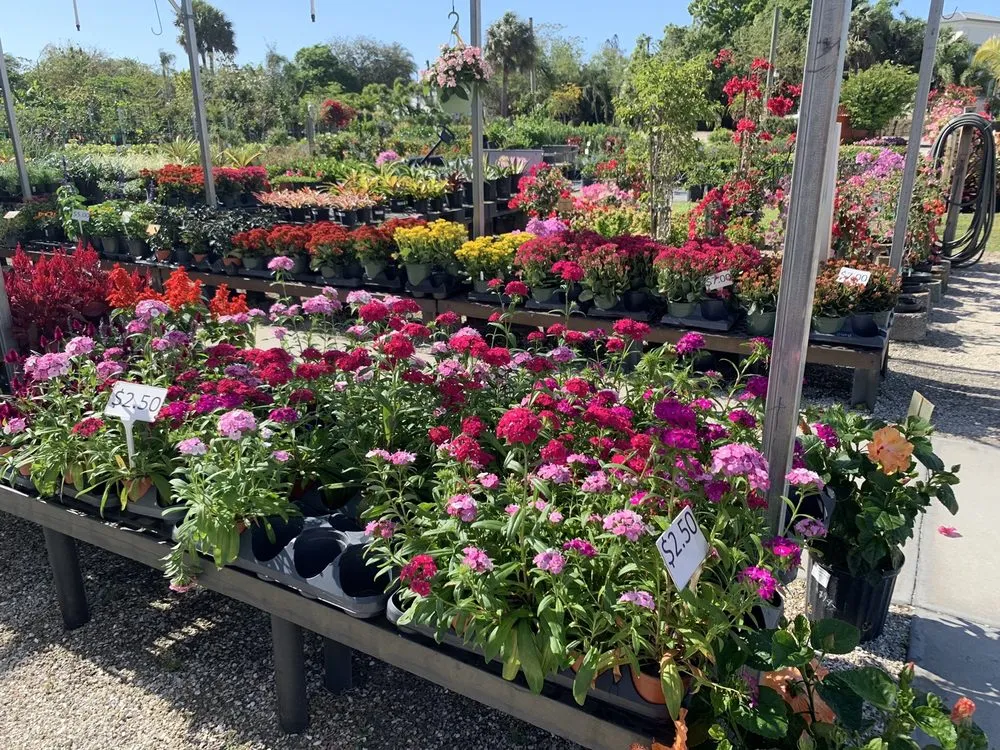 Trusted yard maintenance with custom design in Fort Myers, FL by Battista Farms