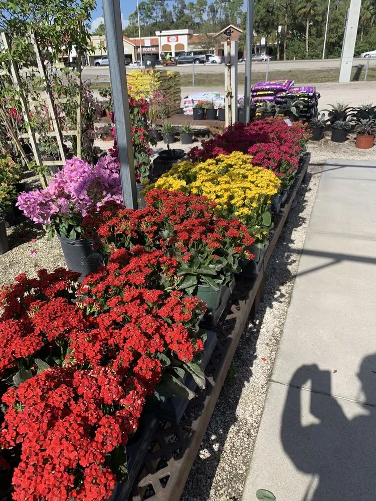 Local residential landscaping in Fort Myers, FL by Battista Farms