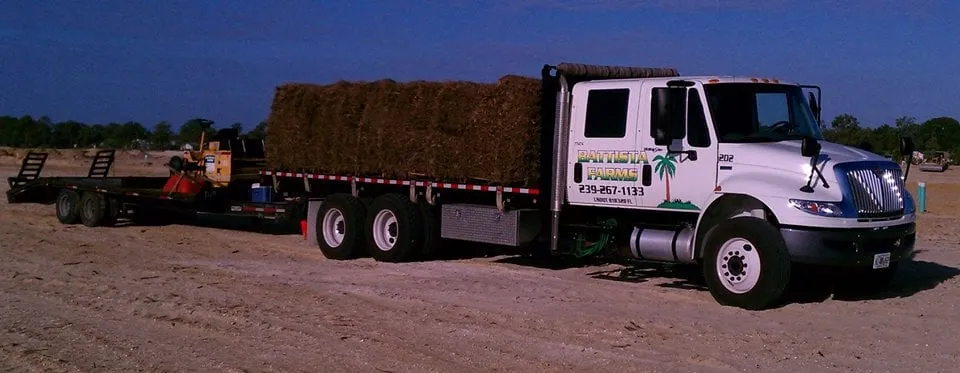 Trusted landscaping services for outdoor upgrades across Fort Myers, FL - Battista Farms