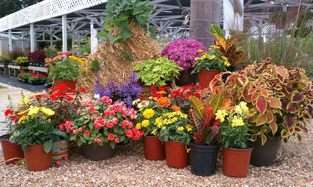 Trusted residential landscaping experts serving Fort Myers, FL - Battista Farms