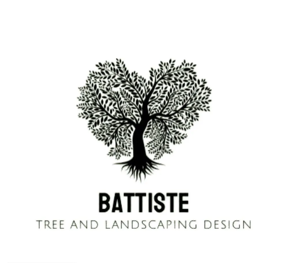 Top-rated yard cleanup service for outdoor upgrades in Punta Gorda, FL by Battiste Tree and Landscaping Design
