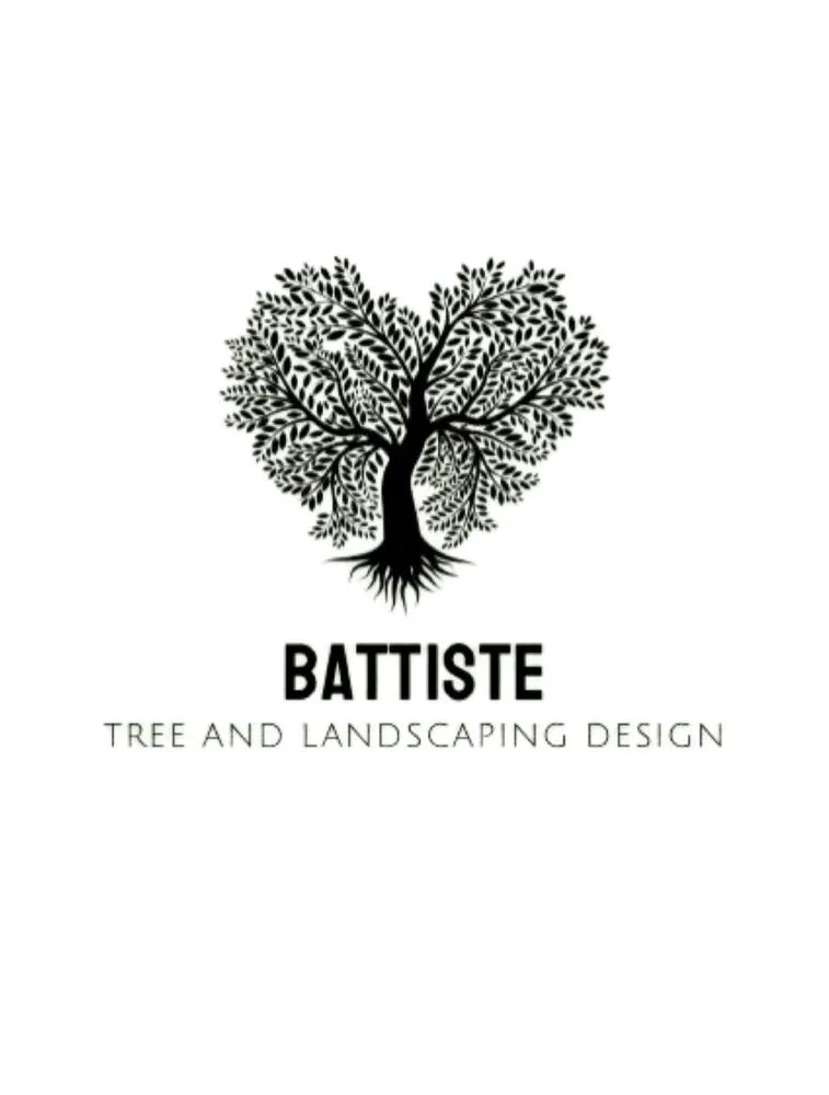 Professional yard maintenance for beautiful yards in Punta Gorda, FL by Battiste Tree and Landscaping Design