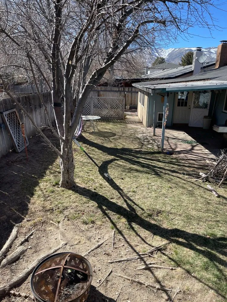 Affordable yard cleanup service in Carson City, NV by Battle Born Landscaping