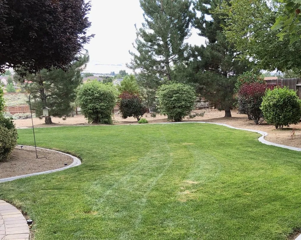 Affordable lawn care service in Carson City, NV by Battle Born Landscaping