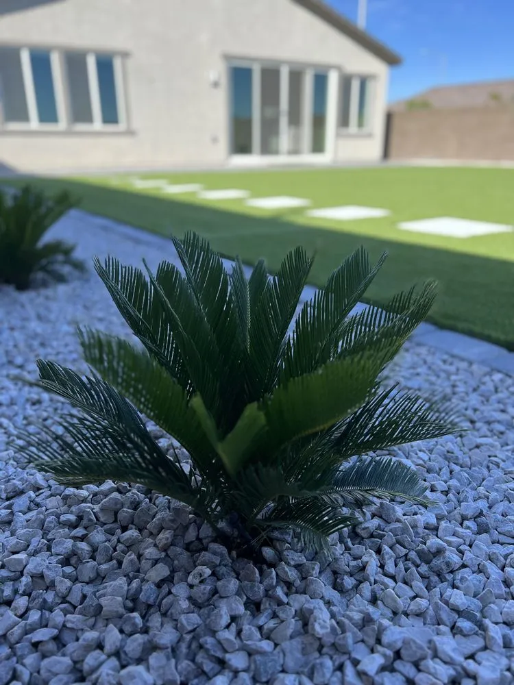 Affordable yard cleanup service for residential properties across North Las Vegas, NV - Battle Born Turf & Pavers