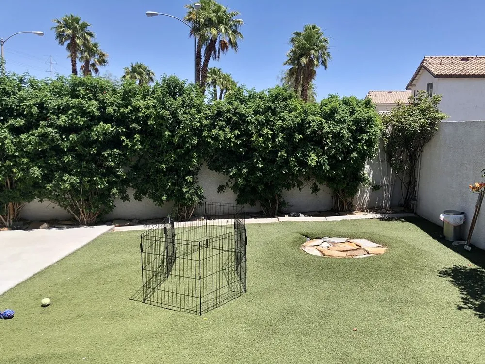 Expert lawn care service for homes across North Las Vegas, NV - Battle Born Turf & Pavers