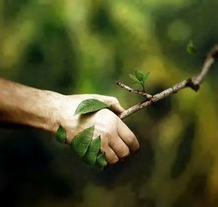 Affordable landscape installation in Battle Creek, MI - Battle Creek Landscape Service