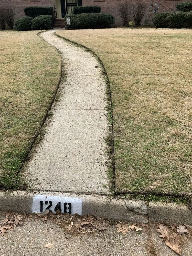 Expert lawn mowing service with custom design across Chester, VA - Battle lawn service