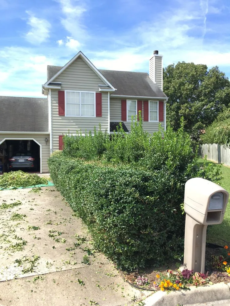 Affordable outdoor landscaping for outdoor upgrades in Chester, VA by Battle lawn service