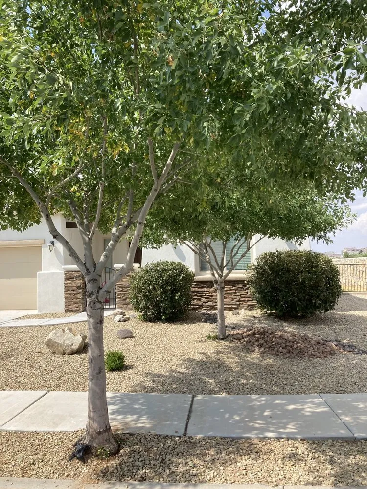 Expert residential landscaping for year-round maintenance across Las Cruces, NM - Battlecastle Landscape