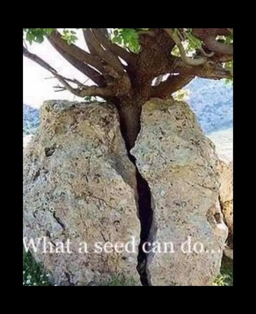 Custom landscape installation for residential properties across Las Cruces, NM - Battlecastle Landscape