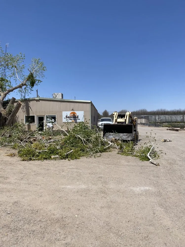 Trusted residential landscaping experts serving Las Cruces, NM - Battlecastle Landscape