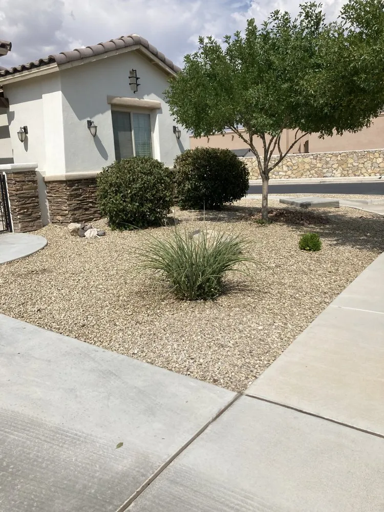 Local yard cleanup service near you in Las Cruces, NM by Battlecastle Landscape