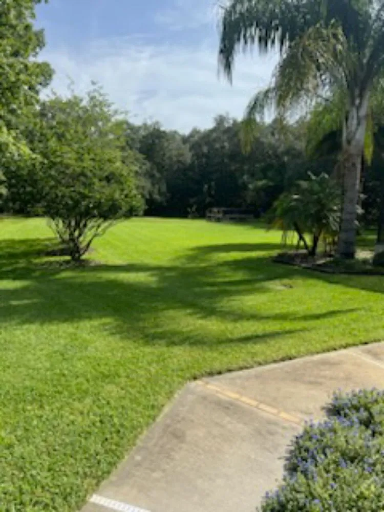 Professional yard cleanup service in Palm Coast, FL by Battles Lawn Care