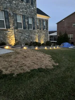 Batz Landscaping Logo