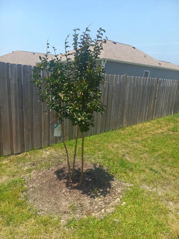 Reliable lawn care service in Wilmington, NC by Batz Property Maintenance